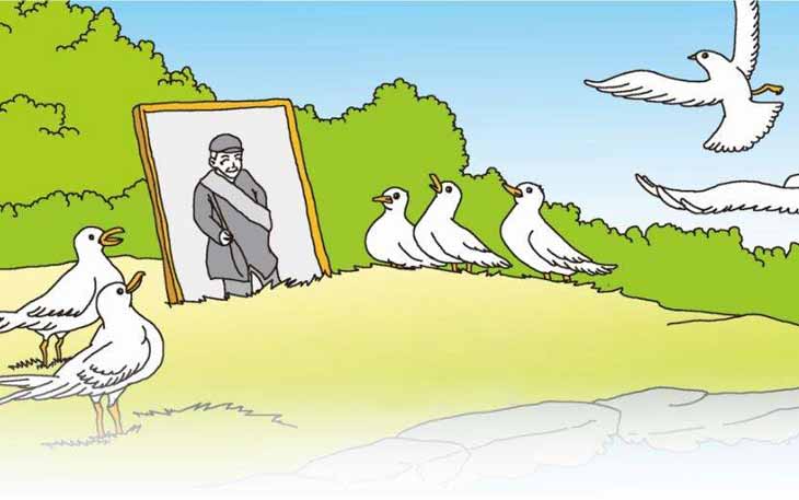 老人與海鷗的故事.jpg 老人與海鷗的故事.jpg