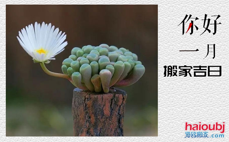 2019年1月搬家吉日,搬家吉日查詢,黃道吉日.jpg 2019年1月搬家吉日,搬家吉日查詢,黃道吉日.jpg